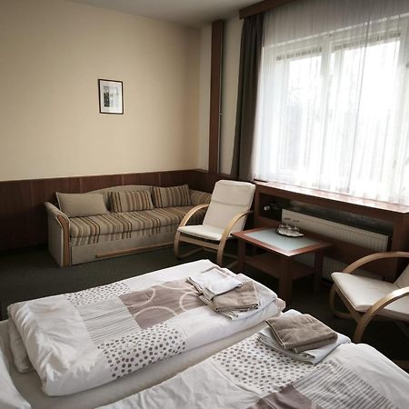 Pension Pod Sibenakem Strmilov Exterior photo